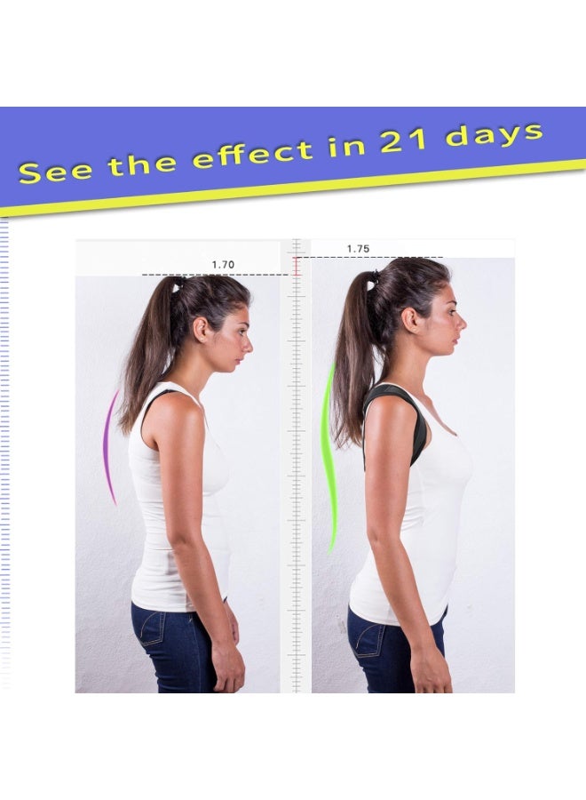 Medical back support belt for posture correction - Image 3